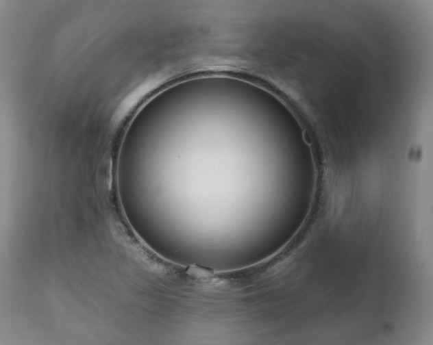 X0000112521317200908241435