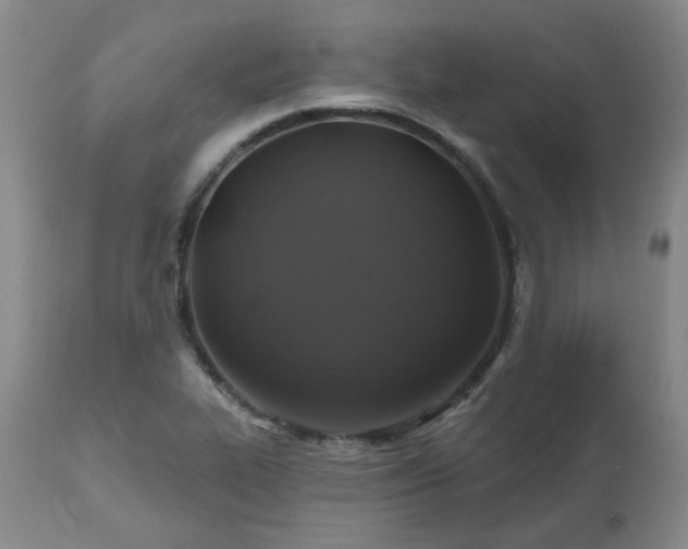 X0000112521319200908241435