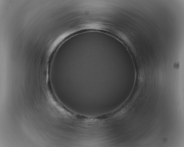 X0000112521323200908241435