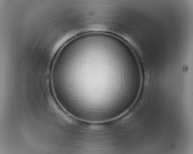 X0000112521325200908241435