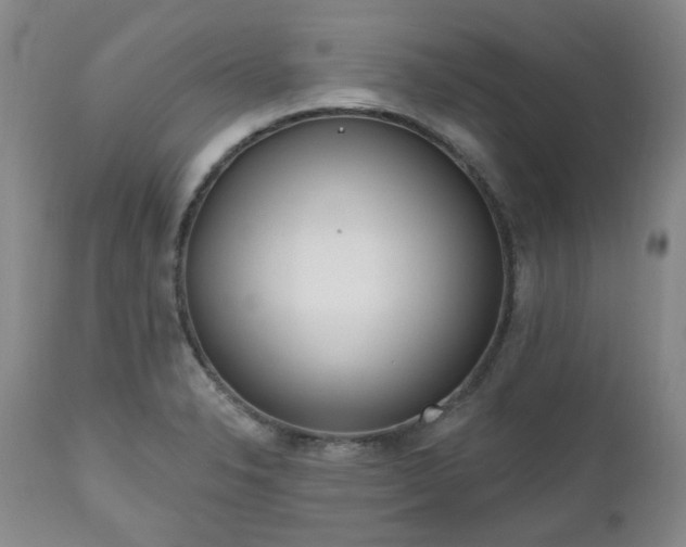 X0000112521326200908241435