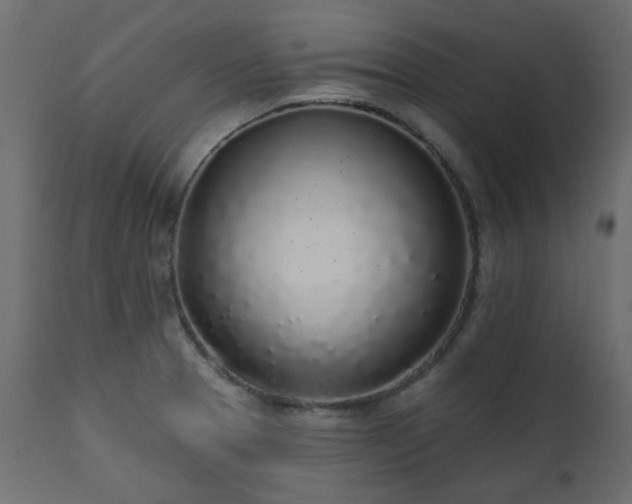 X0000112521329200908241435