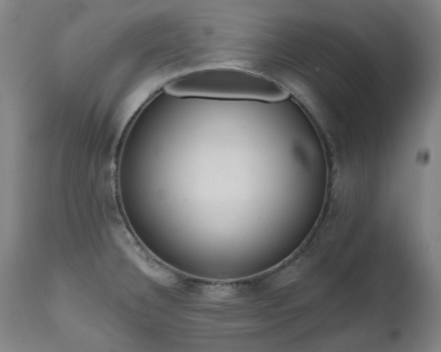 X0000112521332200908241435