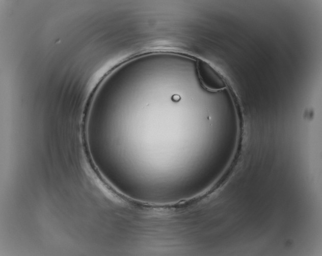 X0000112521333200908241435