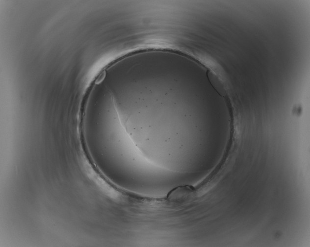 X0000112521334200908241435