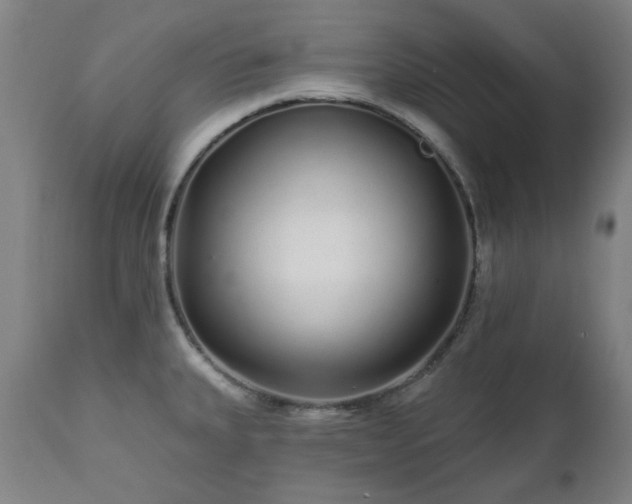 X0000112521335200908241435