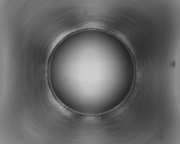 X0000112521339200908241435