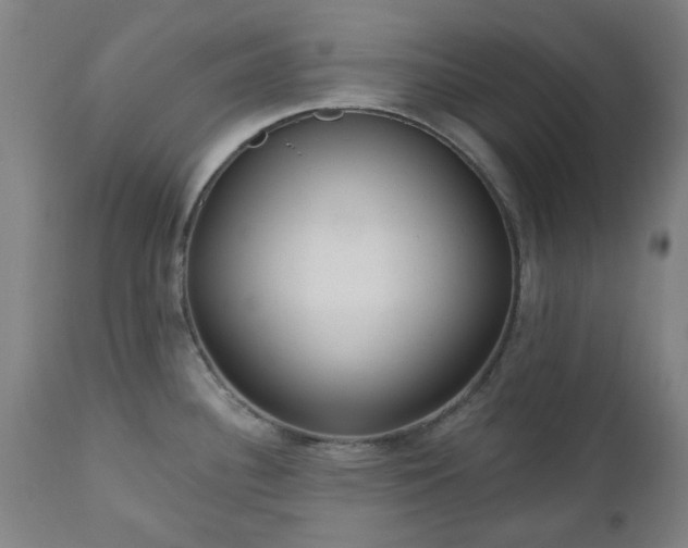 X0000112521340200908241435