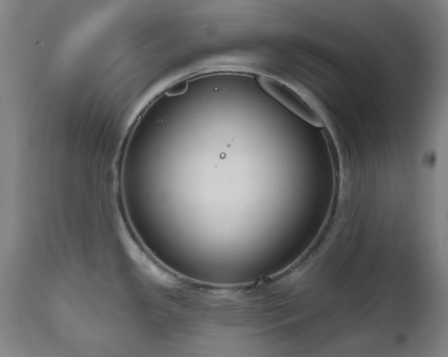 X0000112521341200908241435