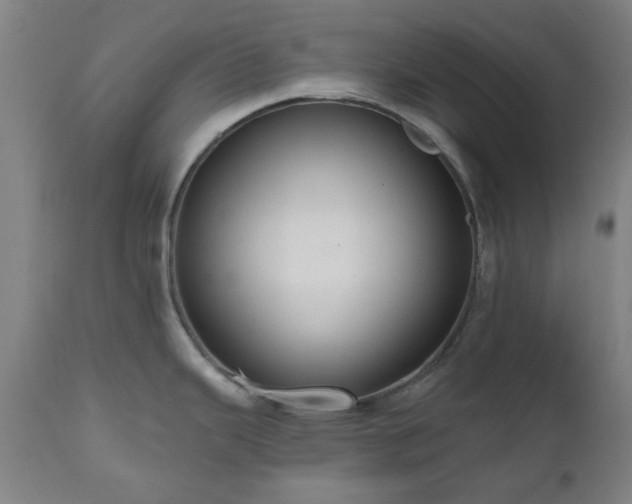 X0000112521343200908241435