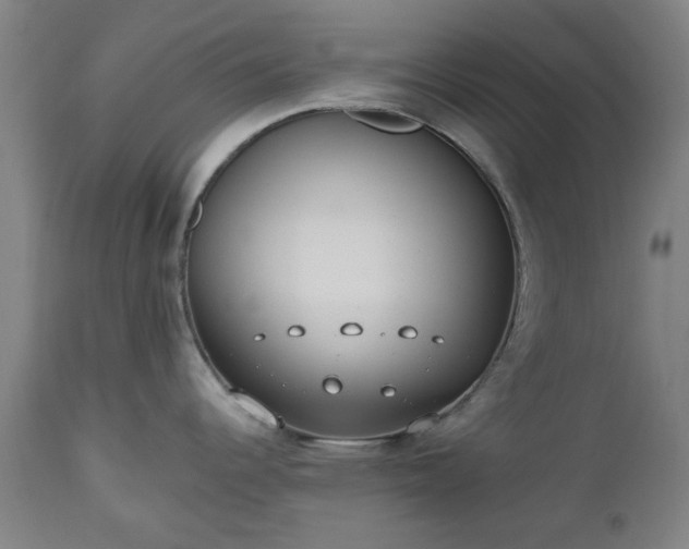 X0000112521344200908241435
