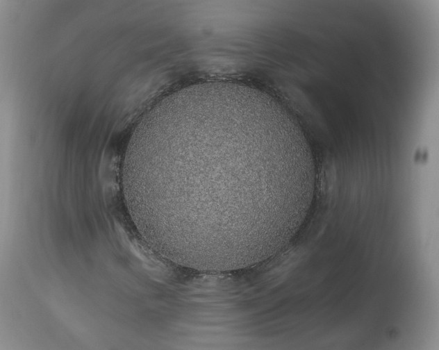 X0000112521346200908241435
