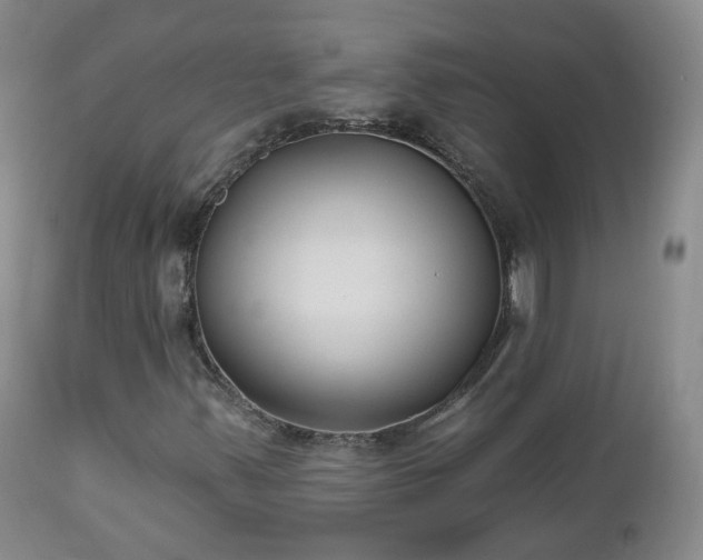 X0000112521347200908241435