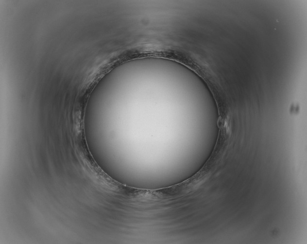 X0000112521348200908241435