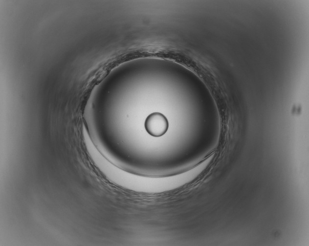 X0000112521349200908241434