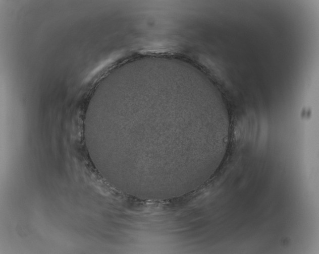 X0000112521350200908241434
