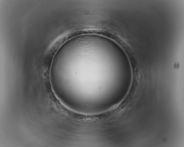 X0000112521351200908241434