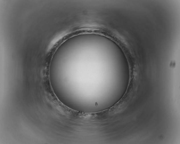 X0000112521352200908241434