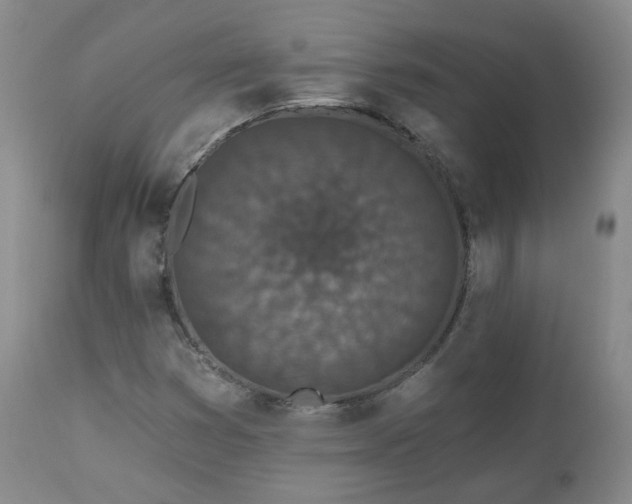 X0000112521353200908241434