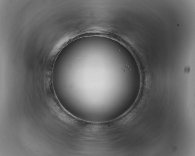 X0000112521355200908241434