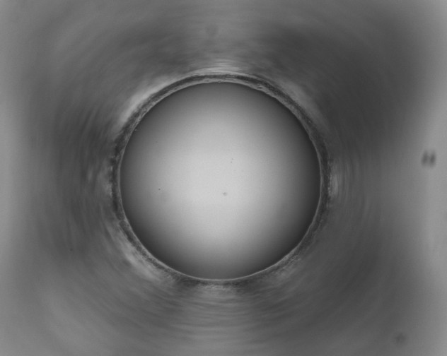 X0000112521356200908241434