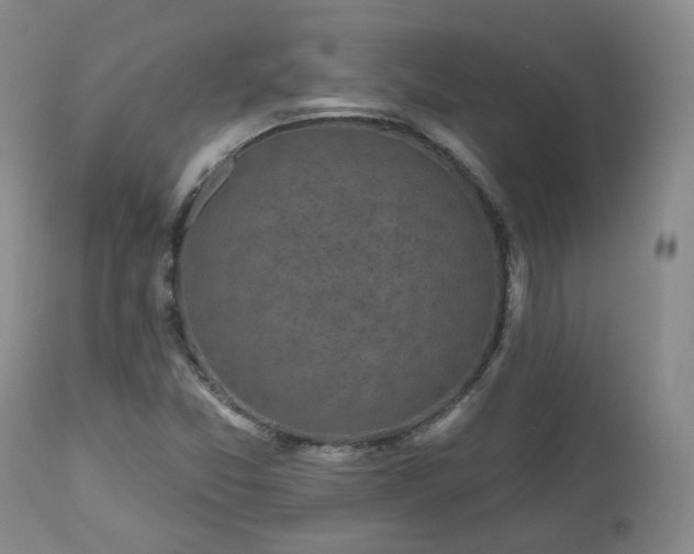 X0000112521357200908241434