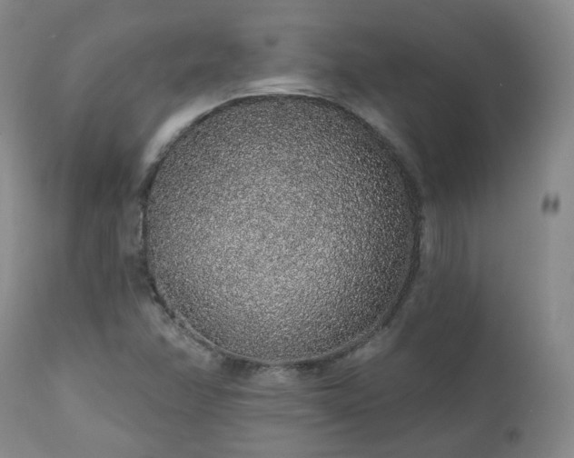 X0000112521358200908241434