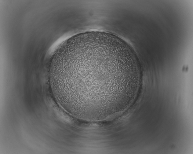 X0000112521359200908241434