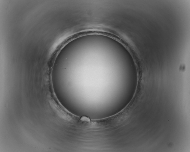 X0000112521360200908241434