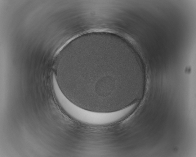 X0000112521361200908241434