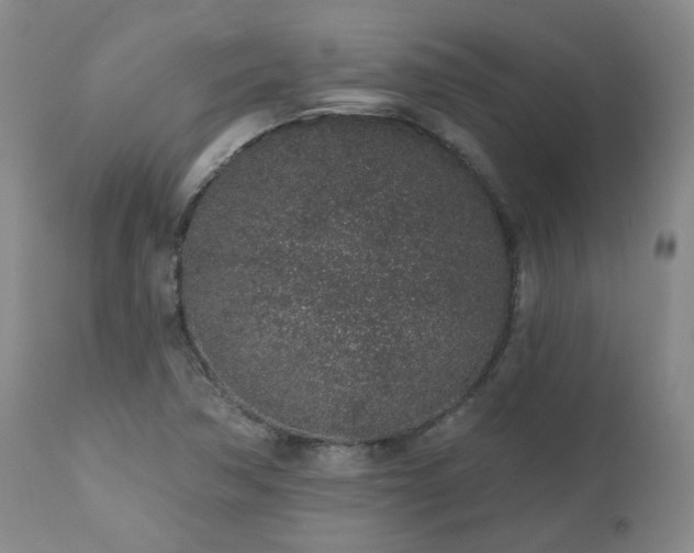 X0000112521362200908241434