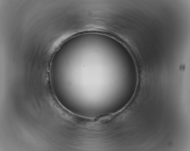 X0000112521363200908241434