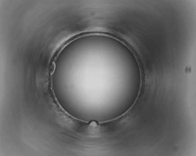 X0000112521364200908241434