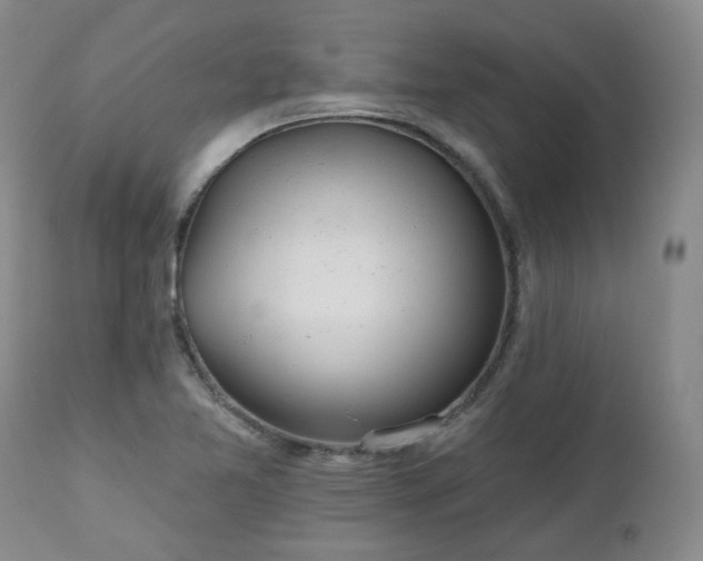 X0000112521365200908241434