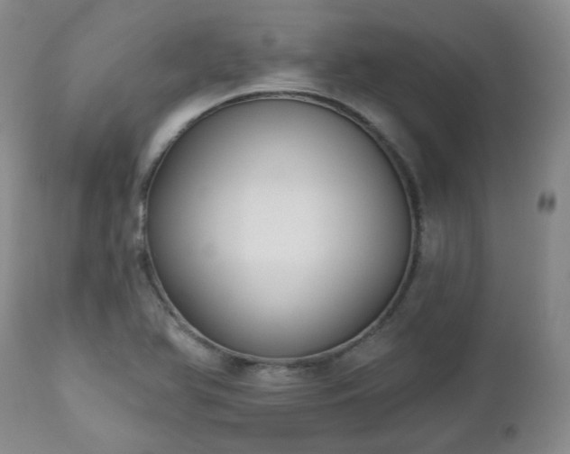 X0000112521366200908241434