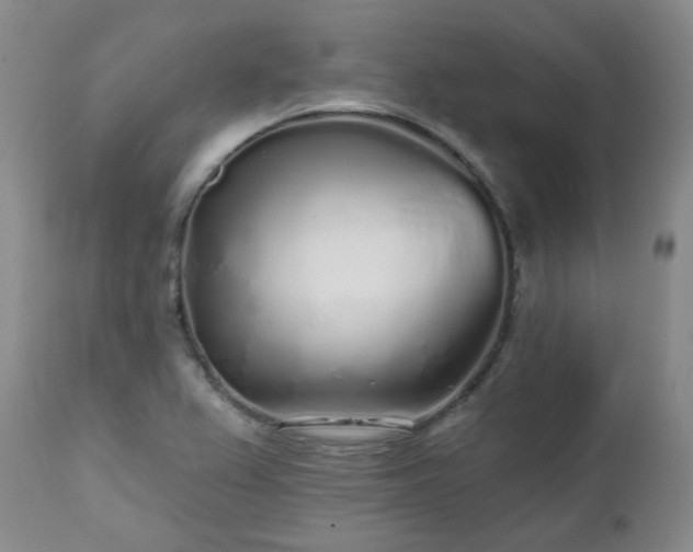 X0000112521367200908241434