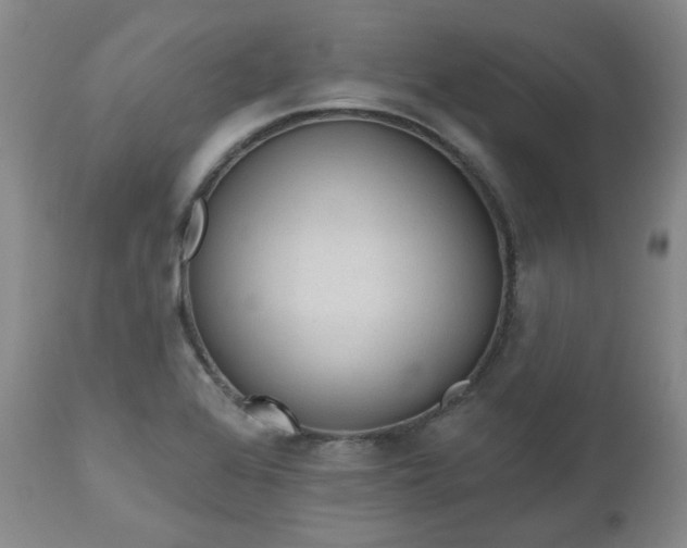 X0000112521368200908241434