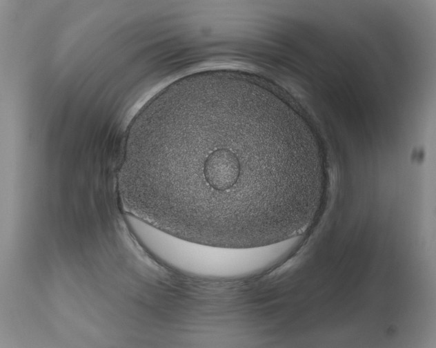 X0000112521369200908241434