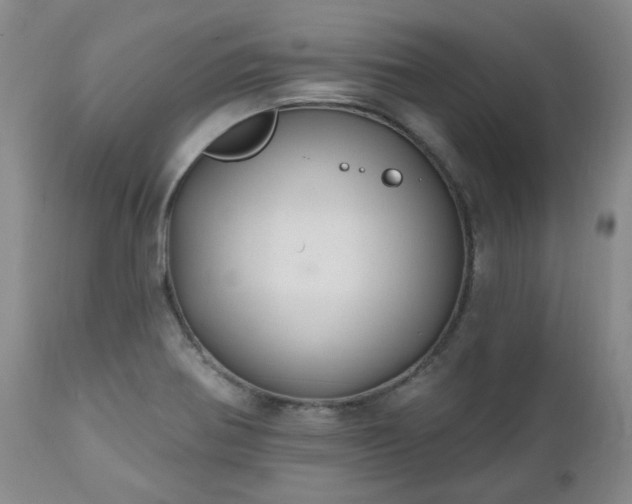X0000112521370200908241434