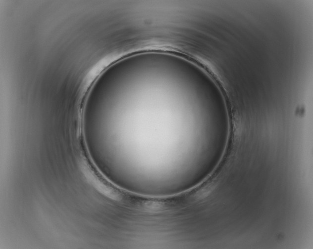X0000112521371200908241434
