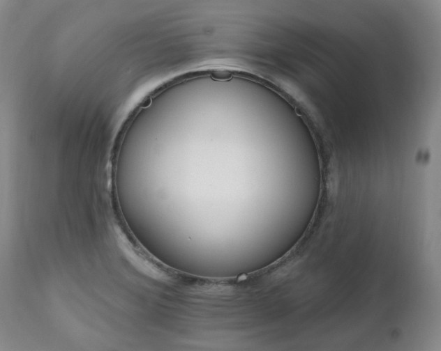X0000112521372200908241434