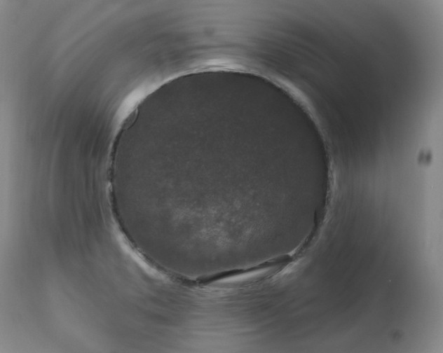 X0000112521373200908241434