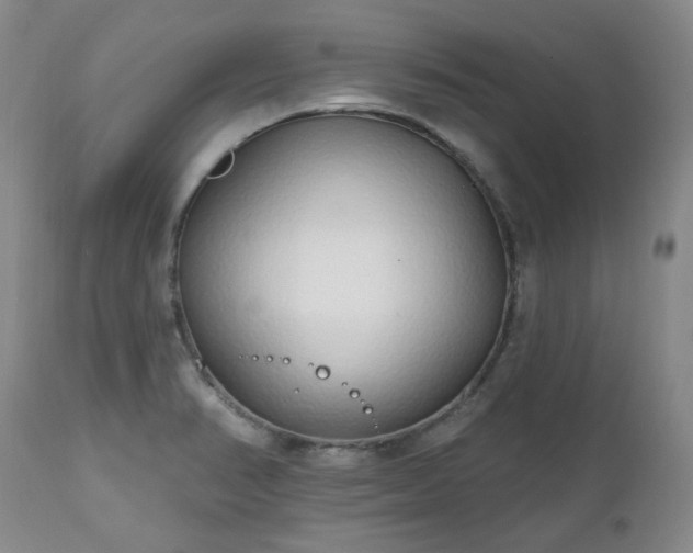 X0000112521374200908241434