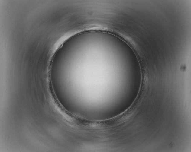 X0000112521375200908241434