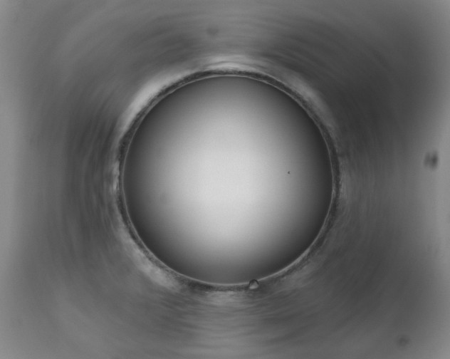 X0000112521376200908241434