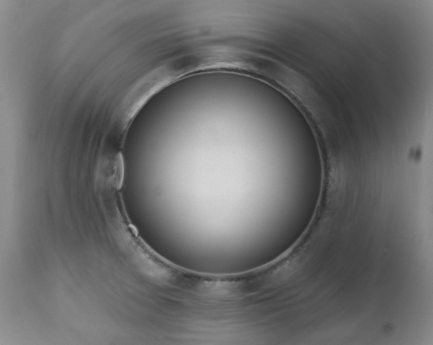 X0000112521377200908241434
