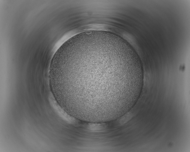 X0000112521378200908241434