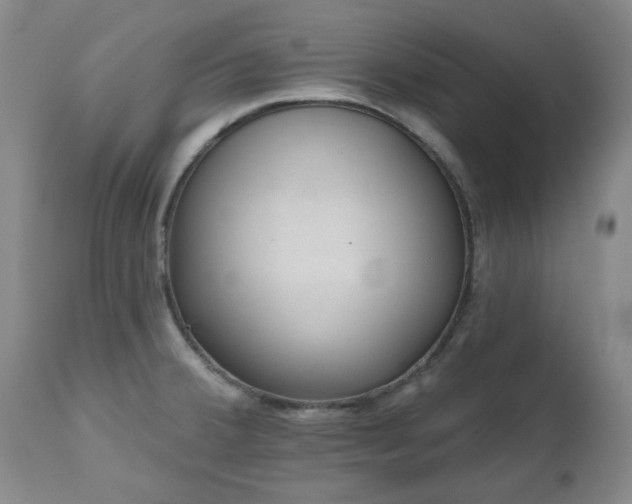 X0000112521380200908241434