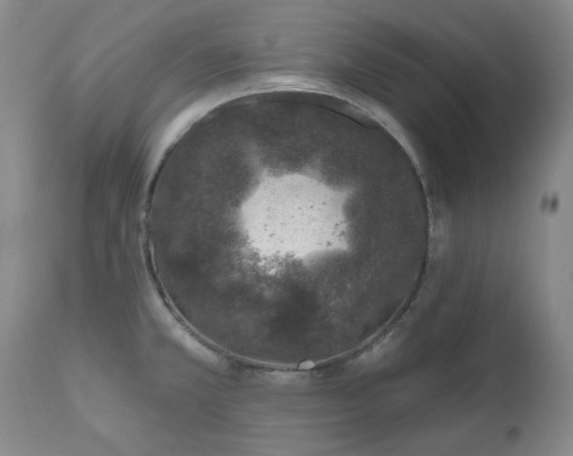 X0000112521381200908241434