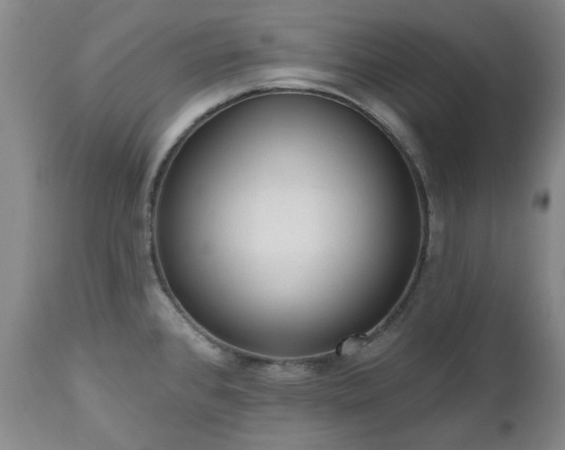 X0000112521384200908241434